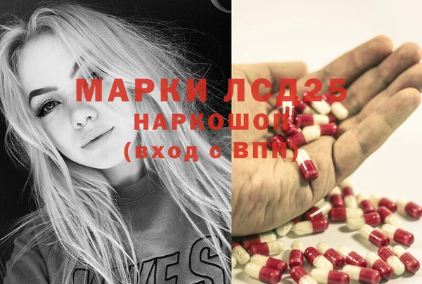 гидропоника Алзамай