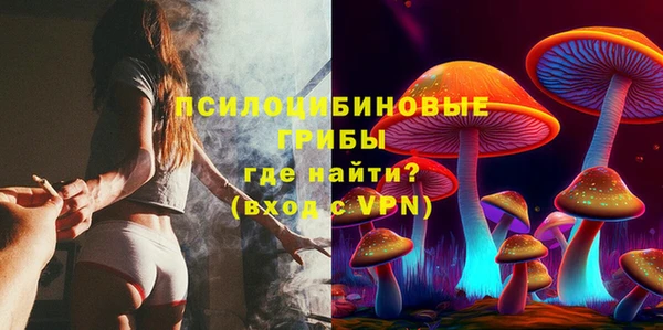 PSILOCYBIN Алексеевка
