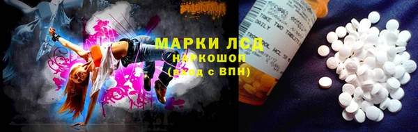 PSILOCYBIN Алексеевка